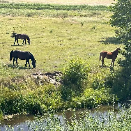 Laba Na Miłej Kwatera prywatna Łeba