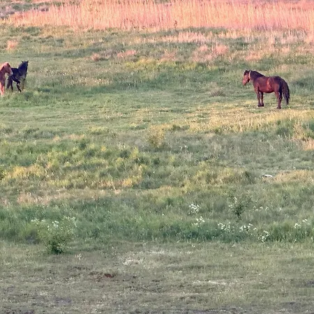 Laba Na Miłej Łeba