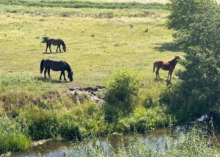 Laba Na Milej Rum i privatbostad Łeba