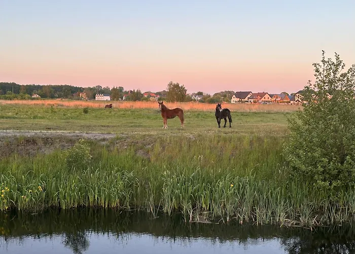 Rum i privatbostad Laba Na Milej Łeba