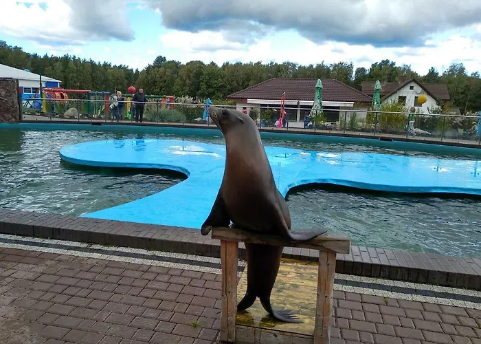 民宿 Laba Na Milej